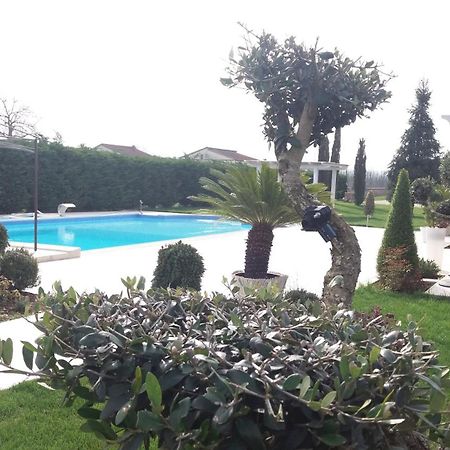 Agriturismo Sant' Isidoro Villa Anagni Eksteriør bilde